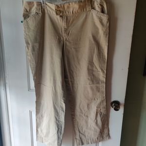 Lane Bryant pants